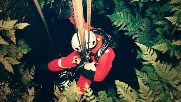 Tim Rescue Selamatkan 2 Ekor Kucing Tercebur Sumur di Klaten