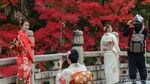 Membuktikan Keindahan Musim Gugur di Kyoto