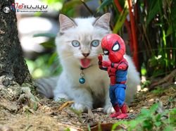 Aksi Lucu Kucing & Spiderman yang Bikin Gemas