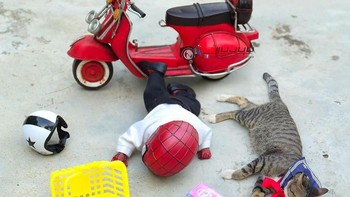 Spiderman dan kucingnya kenapa ya? kok itu belanjaannya pada jatuh juga. Foto: Bored Panda