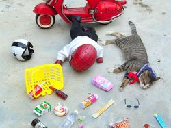 Aksi Lucu Kucing & Spiderman yang Bikin Gemas