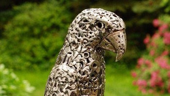 Burung kakak tua. Foto: Bored Panda