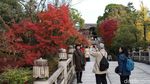 Membuktikan Keindahan Musim Gugur di Kyoto