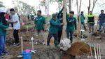 Risma Tanam 1.000 Pohon Tabebuya di Gelora Bung Tomo