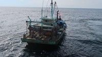 Sejak Januari hingga 29 November 2019, sebanyak 55 kapal berhasil ditangkap saat melakukan upaya penangkapan ikan secara ilegal di WPP-NRI. Pool/Kementerian Kelautan dan Perikanan.
