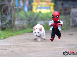 Aksi Lucu Kucing & Spiderman yang Bikin Gemas