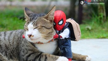 Kemesraan ini jangan berlalu. Foto: Bored Panda