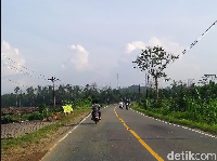 Terpopuler Akhir Pekan: Grab Boyong Mobil Listrik ke RI, Diskon Moge