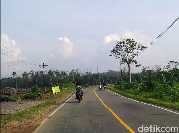 Intip Kondisi Jalan dan Lalu Lintas di Calon Ibu Kota Indonesia