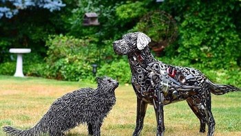 Kucing dan anjing. Foto: Bored Panda