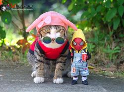Aksi Lucu Kucing & Spiderman yang Bikin Gemas