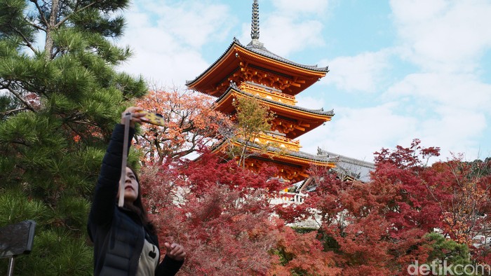 Diperkirakan, pekan ini merupakan puncak musim gugur (autumn) di Kyoto, Jepang. yuk lihat.