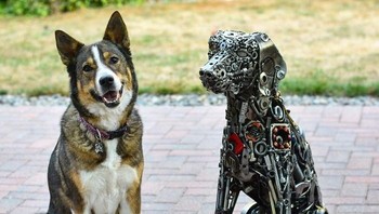 Anjing aja bingung melihat temannya yang diam terus. Foto: Bored Panda