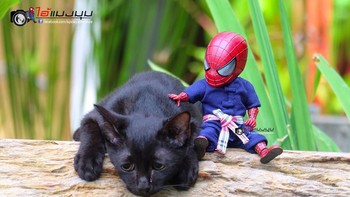 Waduh, kenapa sedih ini kucing. Foto: Bored Panda