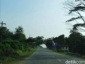Begini Kondisi Jalan dan Lalu Lintas di Calon Ibu Kota RI?
