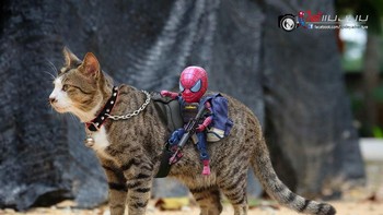 Sedang berburu apa mereka ya. Foto: Bored Panda