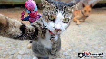 Mengabadikan momen. Foto: Bored Panda