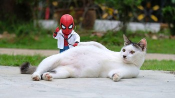 Bentar ya, jangan gerak yang cing. Spiderman lagi periksa kandungannya dulu. Foto: Bored Panda
