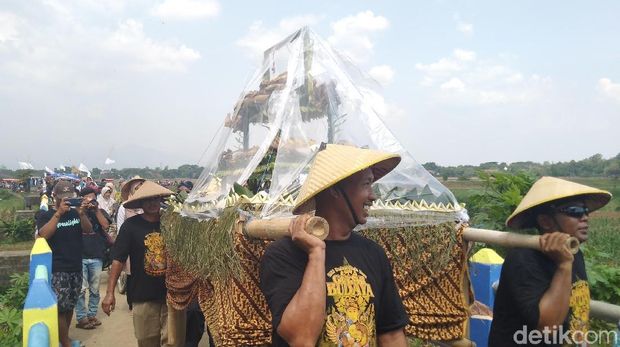 Panen Tiga Kali, Warga Jepara Syukuran Kirab Seribu Ingkung