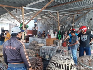 Video Penggerebekan Judi Sabung Ayam, Ada yang Kabur Nyebur ke Sungai