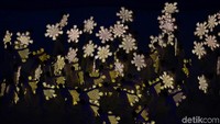 Beragam ornamen lampu warna warnai yang menjadi ciri khas dan kebangaan Filipina memeriahkan pembukaan itu.