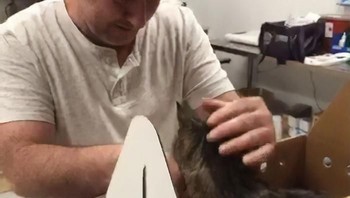 Robert sudah merelakan walau selalu bersedih mengingat Chebon. Saya selalu berdoa, Tuhan saya akan melakukan apapun demi Chebon kembali, katanya. Foto: Bored Panda