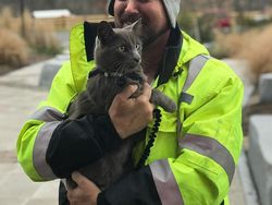 Aneka Foto Mengharukan Bertemu Kucing yang Lama Hilang
