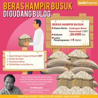 Gawat, 20.000 Ton Beras Bolog Hampir Busuk