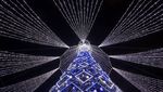 Kilau Pohon Natal Raksasa Menerangi Ibu Kota Lithuania