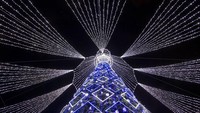 Ribuan lampu menghiasi pohon Natal tersebut. Hal itu membuat kawasan Ibu Kota Lithuania itu menjadi terang dengan kerlap-kerlip lampu hias di malam hari.