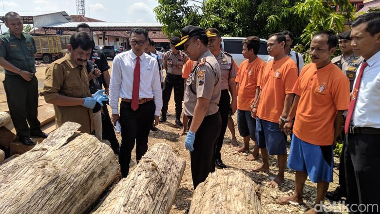 Polisi Ringkus Eks Pegawai Perhutani Terkait Illegal Logging di Blora Polisi Ringkus Eks Pegawai Perhutani Terkait Illegal Logging di Blora