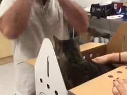 Aneka Foto Mengharukan Bertemu Kucing yang Lama Hilang