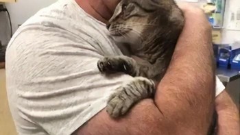 Air matanya pun tumpah. Momen yang sungguh mengharukan. Foto: Bored Panda