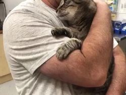 Aneka Foto Mengharukan Bertemu Kucing yang Lama Hilang