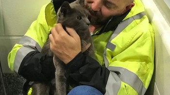 Ketika Matthew berpikir dia takkan pernah melihat Ashes lagi, seorang wanita bernama Kimberly T menemukannya. Foto: Bored Panda