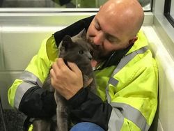 Aneka Foto Mengharukan Bertemu Kucing yang Lama Hilang