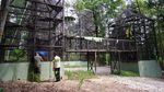 Pusat Suaka Orangutan Arsari Diresmikan