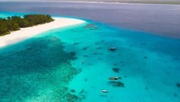 Selain pantai, Zanzibar juga punya konservasi alam yang unik. Beberapa cagar alam punya hewan uniknya masing-masing. Misalnya Teluk Jozani-Chwaka, yang terkenal dengan monyet colobus merah endemiknya.Juga ada Hutan Lindung Ngezi yang subur di Pulau Pemba. Kawasan ini merupakan benteng keanekaragaman hayati yang memainkan peran penting dalam konservasi warisan alam Zanzibar.( iStock)