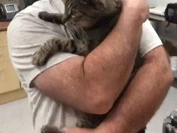 Aneka Foto Mengharukan Bertemu Kucing yang Lama Hilang