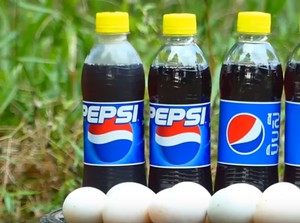 Bukan Kail dan Jala, Ikan Dipancing Pakai Telur dan Minuman Soda
