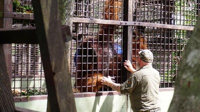 Pusat Suaka Orangutan Arsari Diresmikan