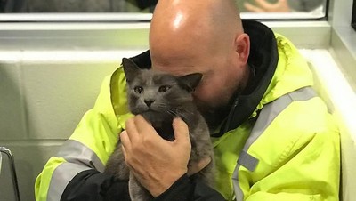 Aneka Foto Mengharukan Bertemu Kucing yang Lama Hilang