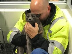 Aneka Foto Mengharukan Bertemu Kucing yang Lama Hilang