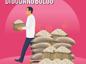 Gawat, 20.000 Ton Beras Bulog Hampir Busuk