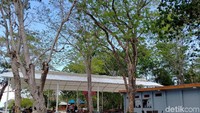 Beberapa fasilitas penunjang pariwisata sudah tersedia di sana seperti homestay, tempat makan, hingga toilet (Afif Farhan/detikcom)