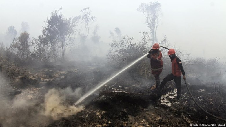 CIFOR: 1,6 Juta Hektare Lahan dan Hutan Indonesia Terbakar di Tahun 2019 CIFOR: 1,6 Juta Hektare Lahan dan Hutan Indonesia Terbakar di Tahun 2019