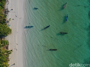 Mau Lihat Dinosaurus Mini? Ada Nih di Maluku!