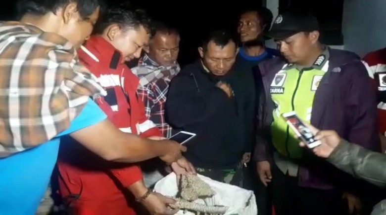 Evakuasi Sarang Tawon Vespa Malam Hari, Ini Alasan Damkar Sukabumi Evakuasi Sarang Tawon Vespa Malam Hari, Ini Alasan Damkar Sukabumi