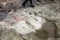 Jejak telapak kaki yang besar