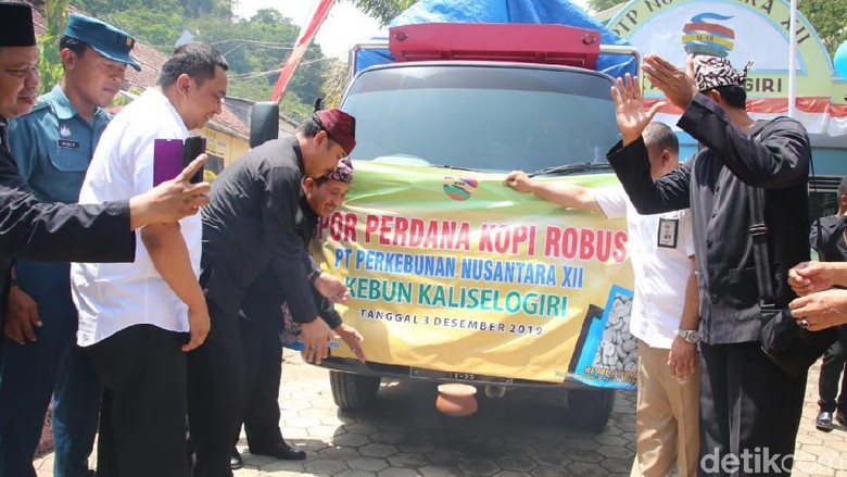 Banyuwangi Kembali Ekspor Kopi Robusta, Tujuannya Swiss Hingga Inggris Banyuwangi Kembali Ekspor Kopi Robusta, Tujuannya Swiss Hingga Inggris